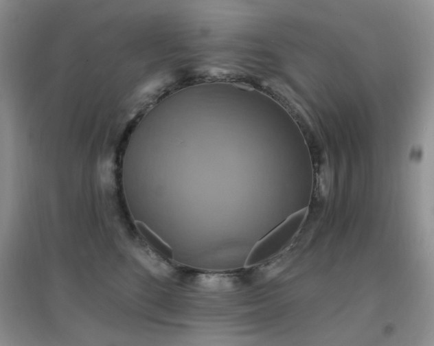X0000096970520200802081255