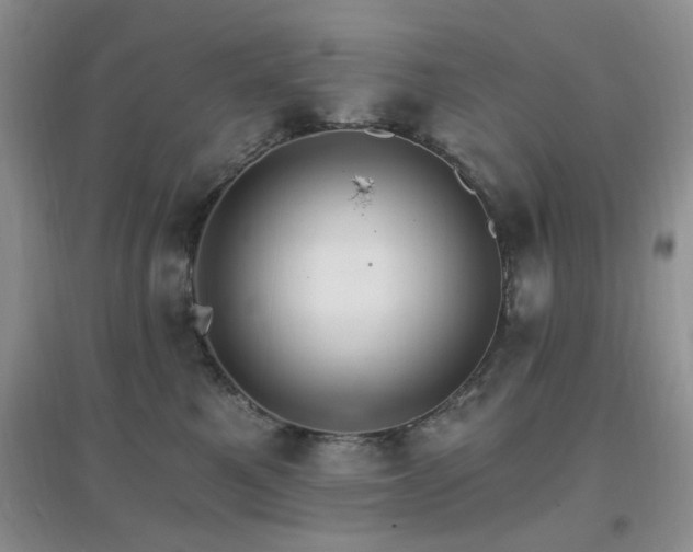 X0000096970521200802081255