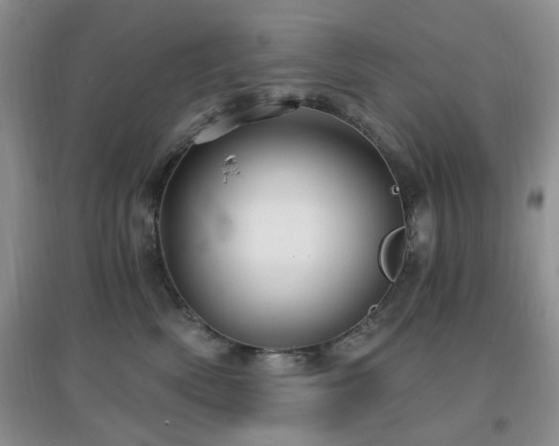 X0000096970522200802081255