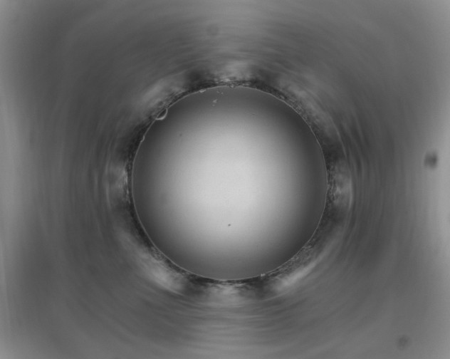 X0000096970523200802081255