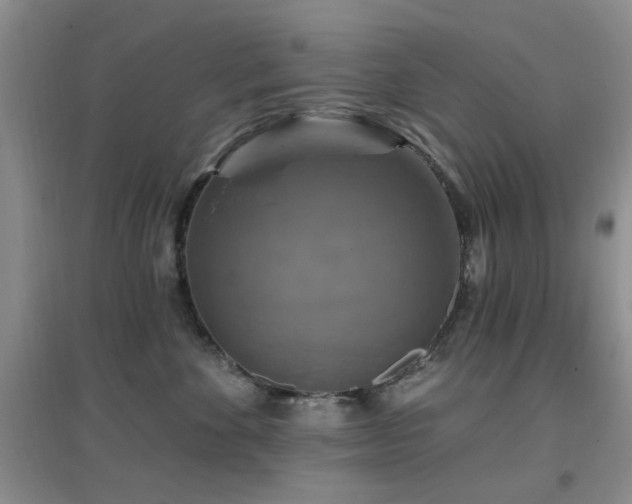 X0000096970524200802081255