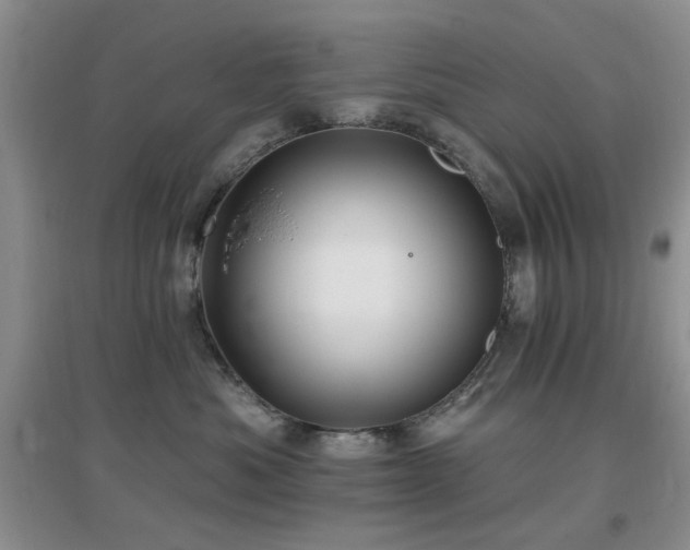 X0000096970525200802081255