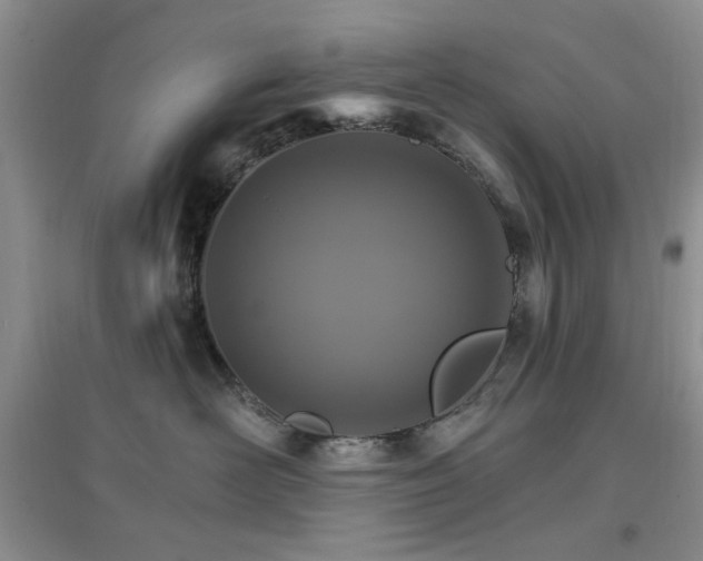 X0000096970526200802081255
