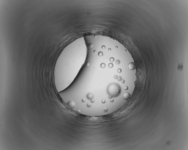 X0000096970527200802081255