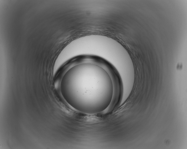 X0000096970528200802081255