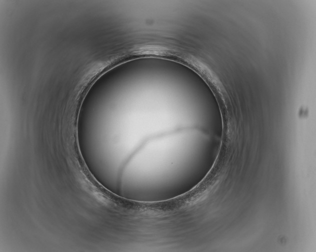 X0000096970529200802081254