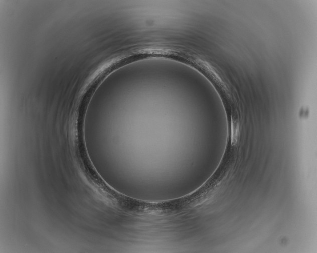 X0000096970531200802081254