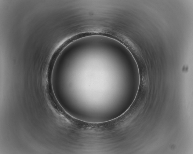 X0000096970532200802081254