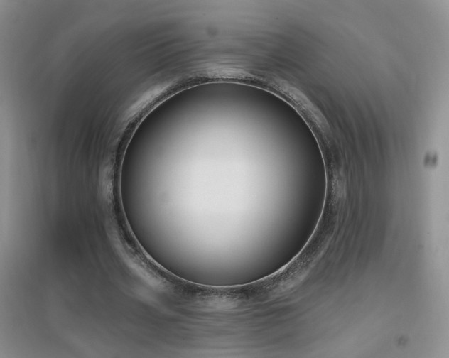 X0000096970533200802081254