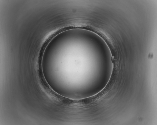 X0000096970536200802081254