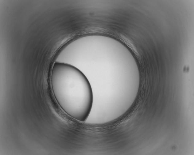 X0000096970538200802081254