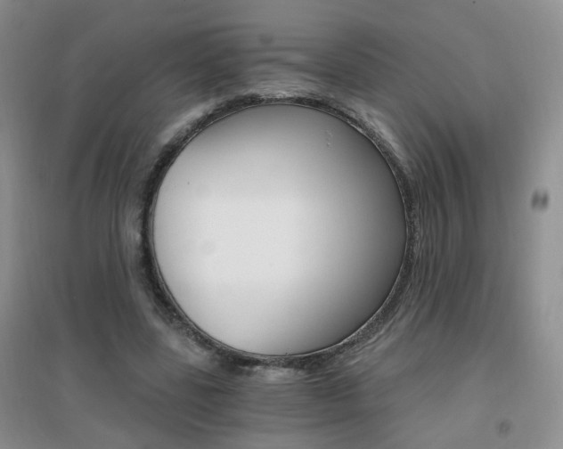 X0000096970539200802081254