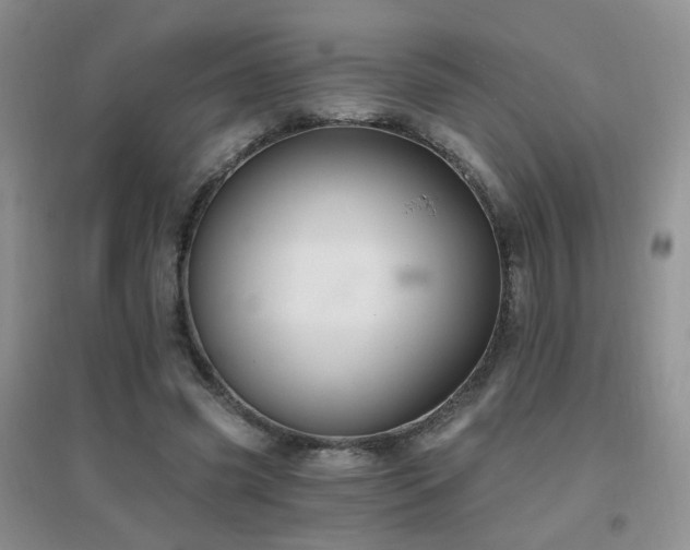 X0000096970541200802081254