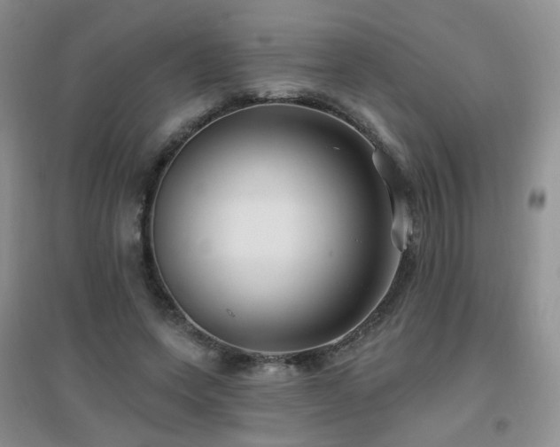 X0000096970543200802081254