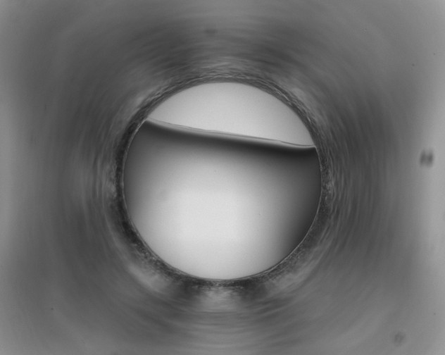 X0000096970547200802081254
