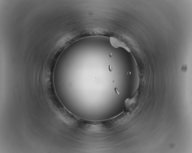 X0000096970548200802081254