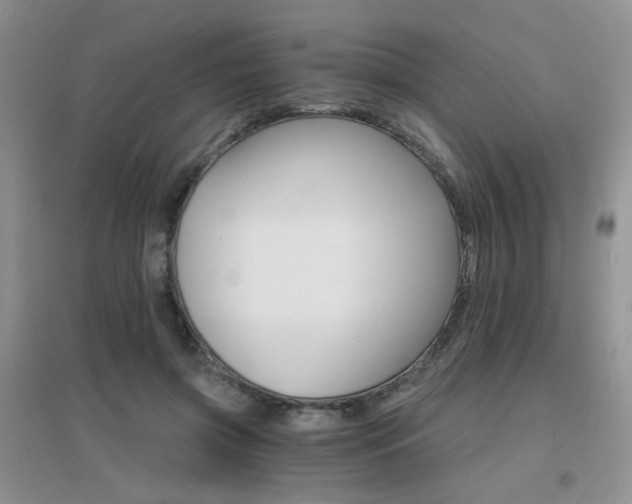 X0000096970549200802081254