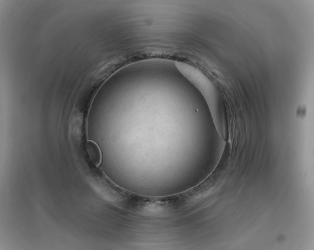 X0000096970550200802081254