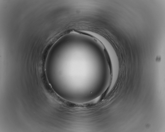 X0000096970552200802081254