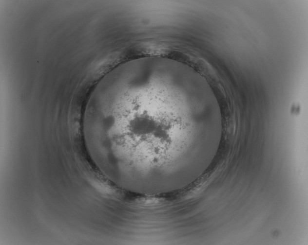 X0000096970553200802081254