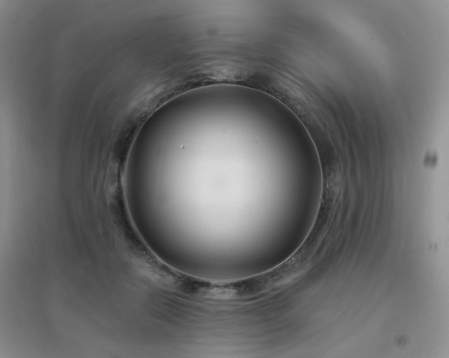 X0000096970554200802081254