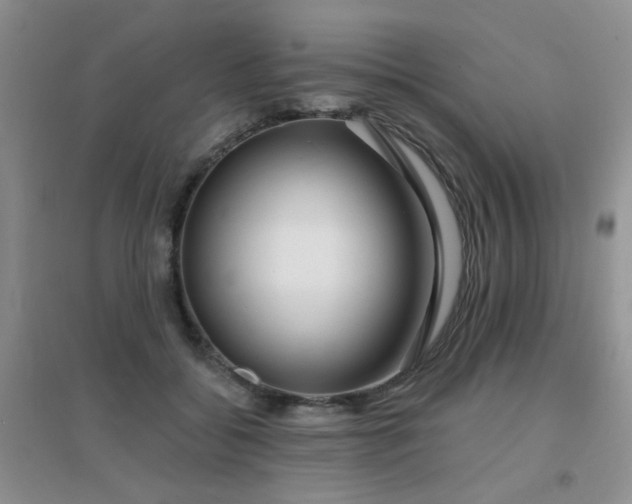 X0000096970556200802081254