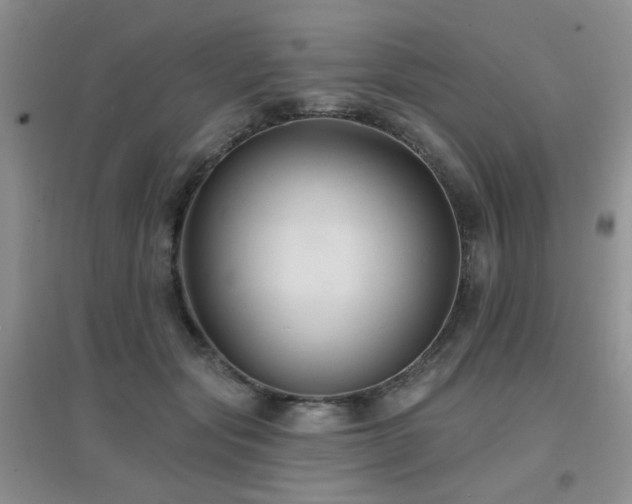 X0000096970557200802081254