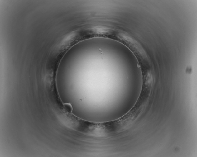 X0000096970559200802081254