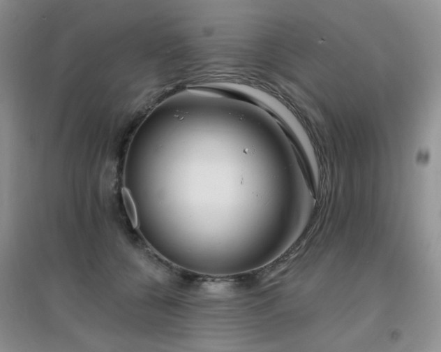 X0000096970560200802081254