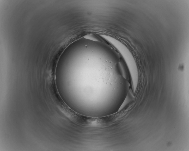 X0000096970564200802081255