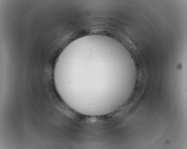 X0000096970565200802081255