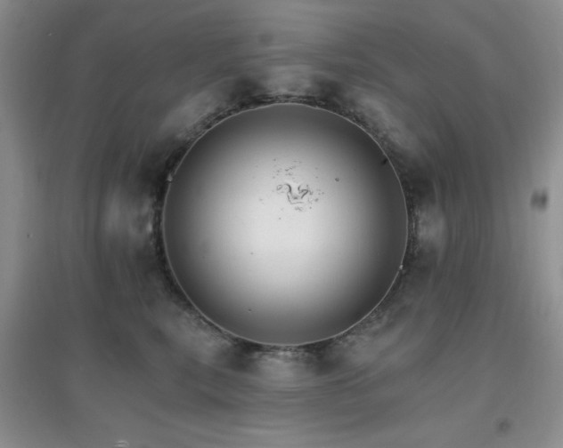 X0000096970567200802081255