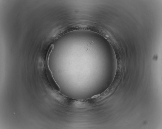X0000096970568200802081255