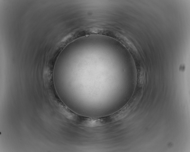X0000096970569200802081255