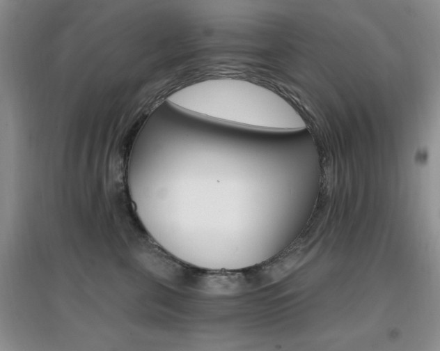 X0000096970571200802081255