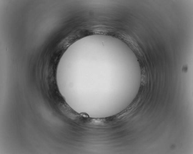 X0000096970573200802081255