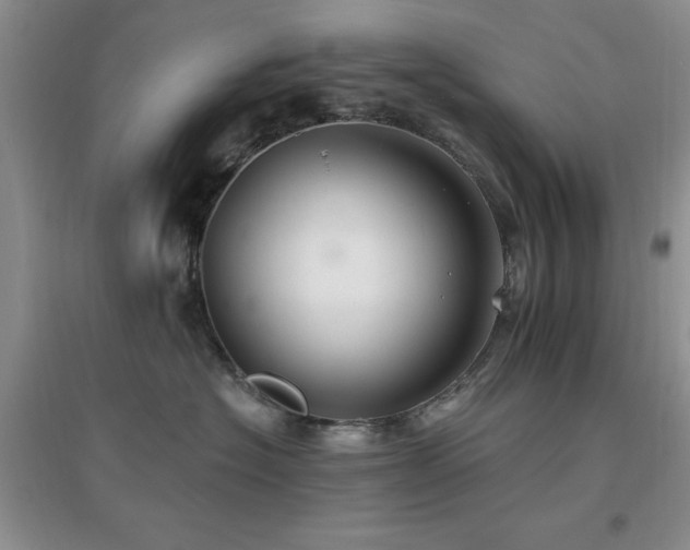 X0000096970574200802081255