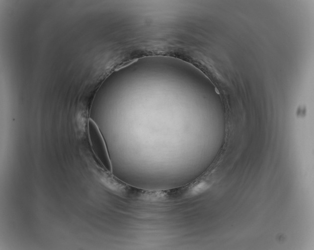 X0000096970576200802081255
