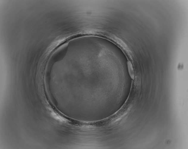 X0000096970577200802081254