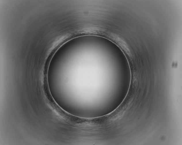 X0000096970578200802081254
