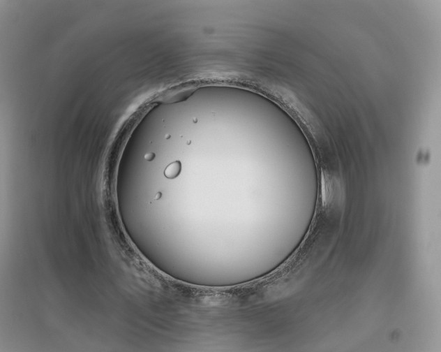 X0000096970579200802081254