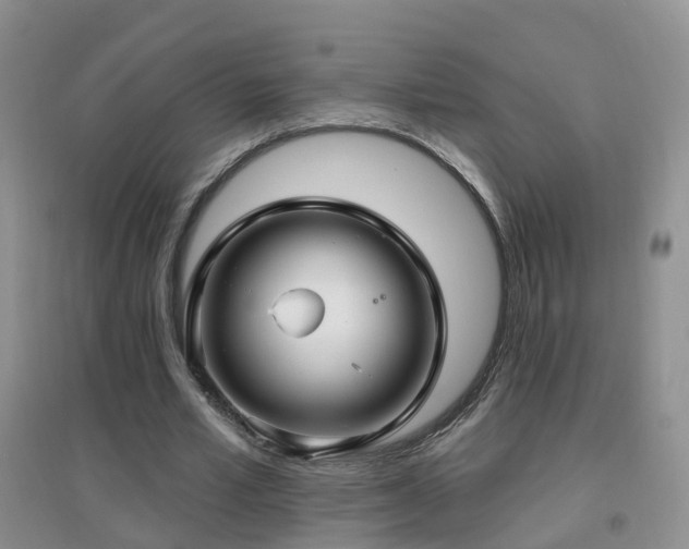 X0000096970581200802081254