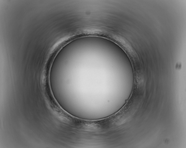 X0000096970583200802081254