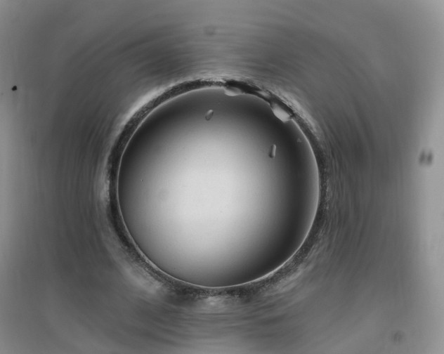 X0000096970584200802081254