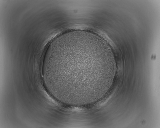 X0000096970585200802081254