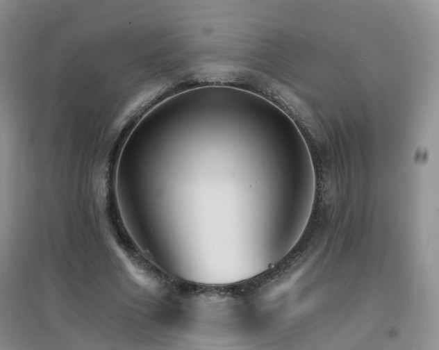X0000096970586200802081254