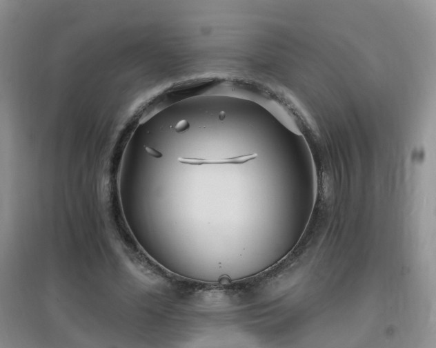 X0000096970588200802081254