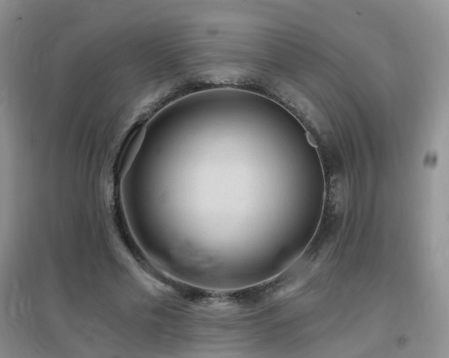 X0000096970589200802081254
