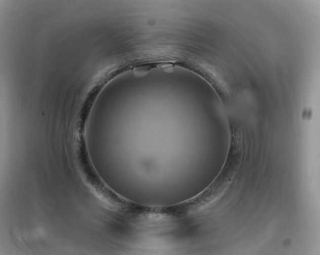 X0000096970590200802081254