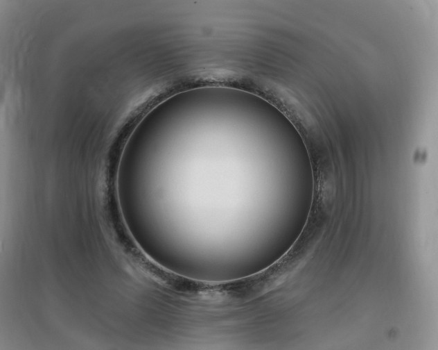 X0000096970591200802081254